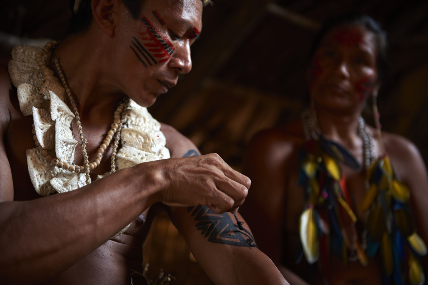 Amazon, Brazil: An indigenous man applies body paint to his arm in preparation to a traditional dance performance, observed by his partner.